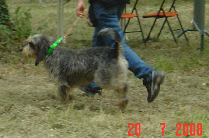 Nationale d'Elevage 2008
