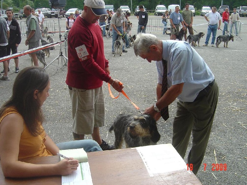 nationale d'elevage 2009